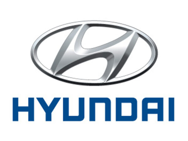 HYUNDAI CHROME 24-00-116